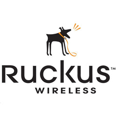 Ruckus ZoneDirector 1205 with 2 x GbE with 5 AP Licenses