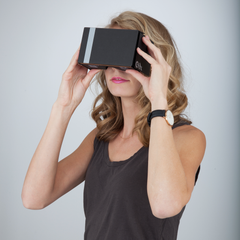 BRIGHTPOINT CASEMATE VIRTUAL REALITY VIEWER